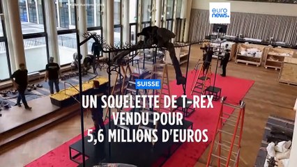 Un squelette composite de T-Rex vendu près de 5,6 millions d'euros
