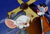 Pinky and the Brain Pinky and the Brain S01 E015 Mouse of La Mancha