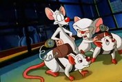 Pinky and the Brain Pinky and the Brain S01 E017 The Visit