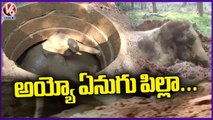 Forest Officials Rescue Wild Elephant Fell Into 15-Feet Well In Malappuram _ Kerala _ V6 News