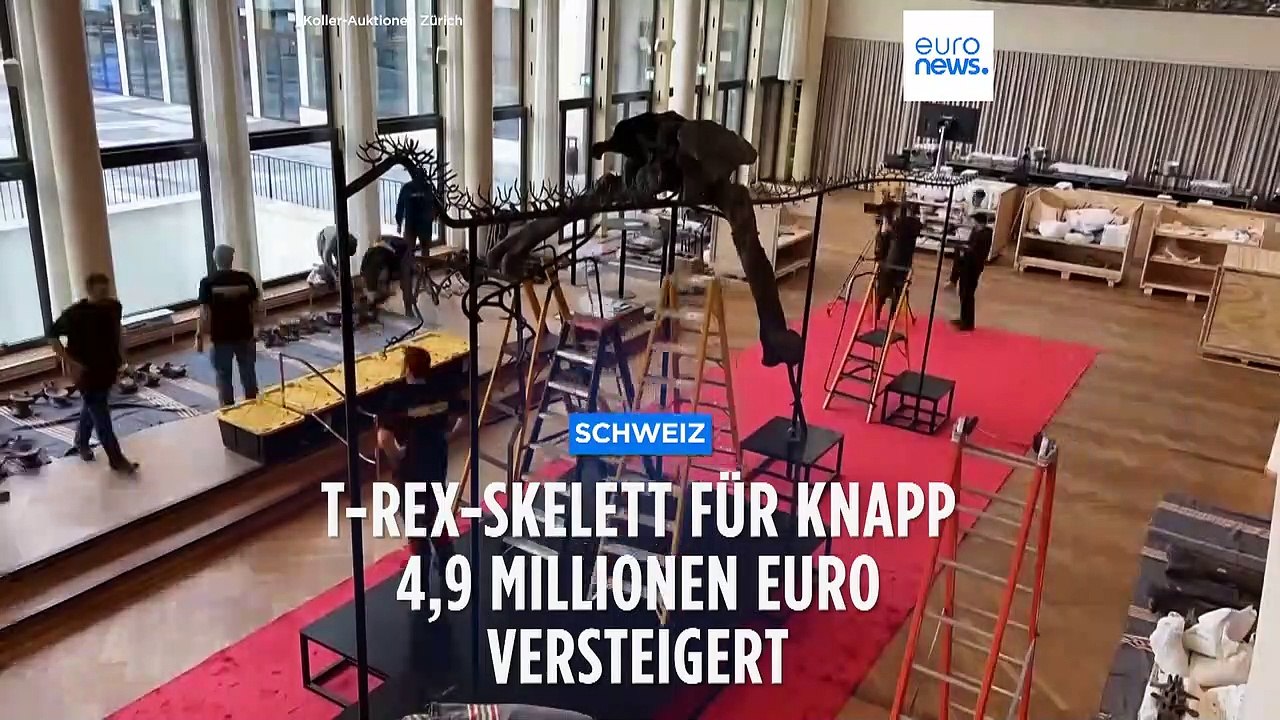 Tyrannosaurus-Rex unterm Hammer