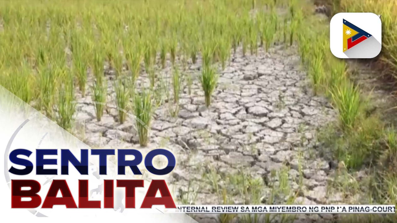 Epekto ng El Niño sa produksiyon ng asukal, iki...