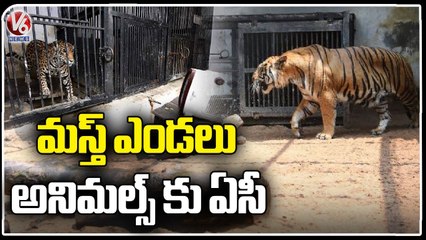 Zoo Officials Set Special Arrangements Over To Protect Animals From Sun Temperature In Kolkata | V6