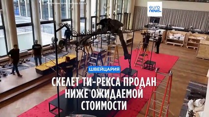 Скелет тираннозавра рекса продан ниже ожидаемой стоимости