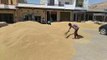 Farmers protested, here ... the former minister said, the state government should give relief to the farmers by starting the government procurement of wheat