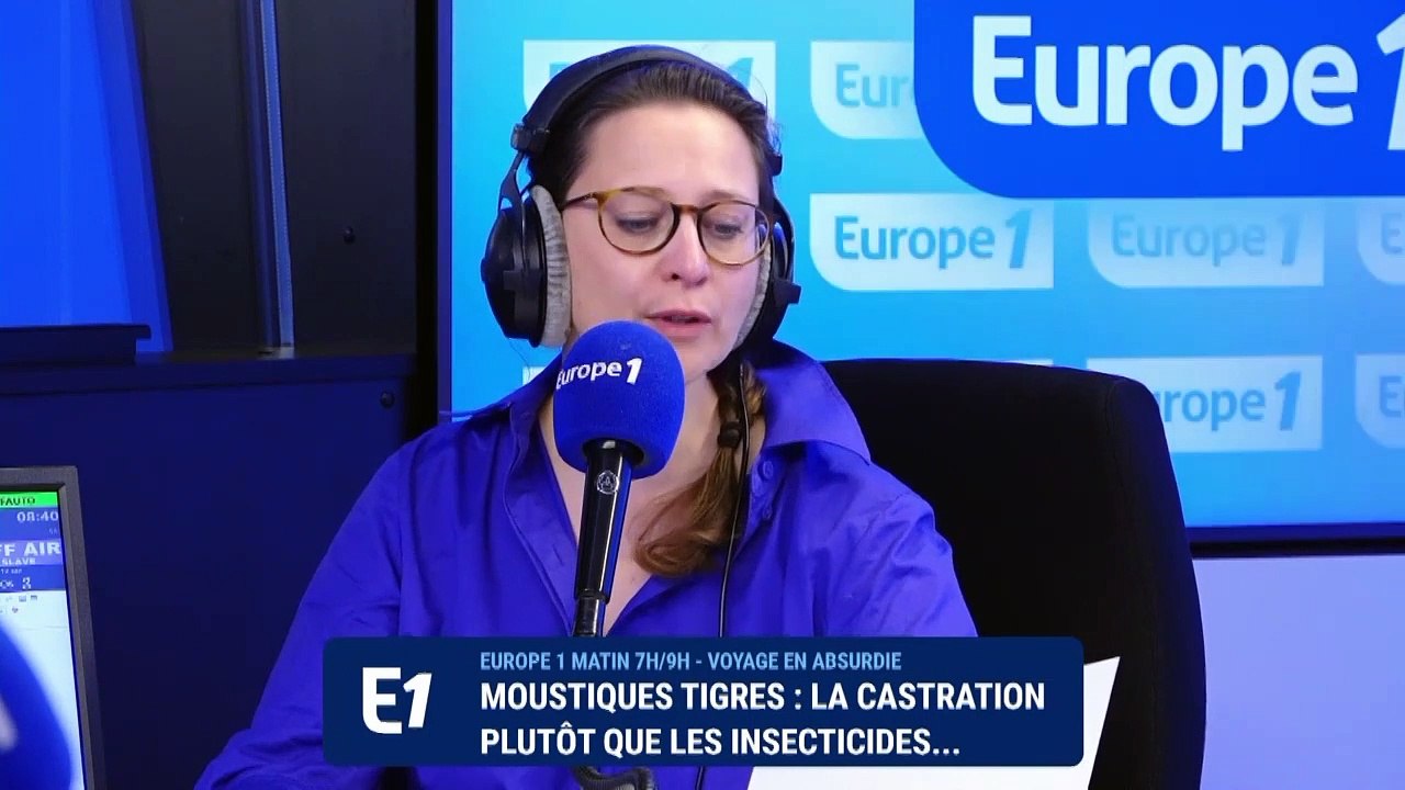 Moustiques tigres : la castration plutôt que les insecticides