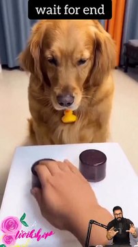 Tranding shorts on youtube-Tranding shorts video- tranding shorts channel#tranding #viral #shorts 19 (2)