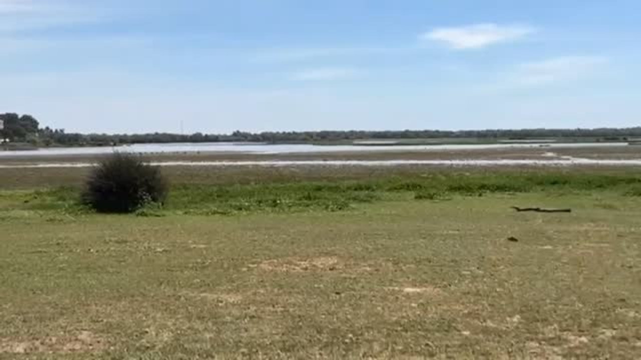 Gobierno, comunidades y cuencas hidrográficas buscan hoy soluciones frente a la sequía