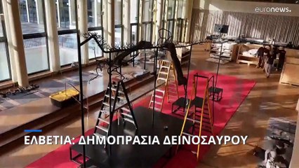 Ελβετία: Ο τιρονόσαυρος Τρίνιτι βγήκε σε δημοπρασία