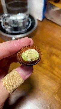 Little Mouse Eat Rap tiles | Cute Pets | Funny Animals #animals #pets #mouse #rat #mouseEating #fun