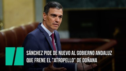 Pedro Sánchez defiende Doñana de las políticas que quiere llevar acabo la Junta de Andalucía