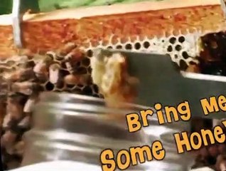 Fetch! with Ruff Ruffman Fetch with Ruff Ruffman E007