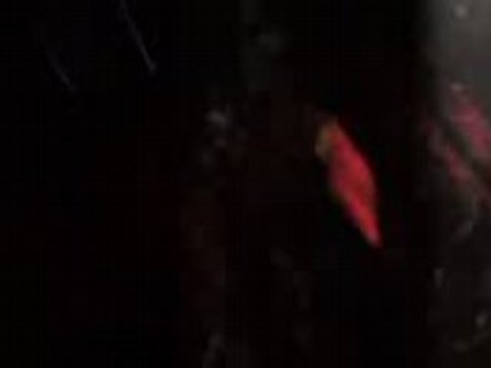 Vidéo 0149