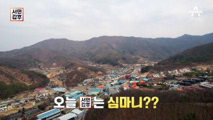 [예고] 심봤다! 보물을 캐는 심마니? 연 매출 20억 원의 비밀