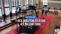 Private collector snaps up T-Rex skeleton for €4.9m at Swiss auction