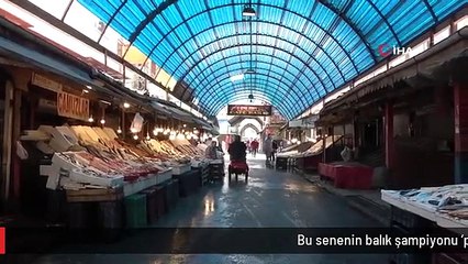 Bu senenin balık şampiyonu 'palamut' oldu