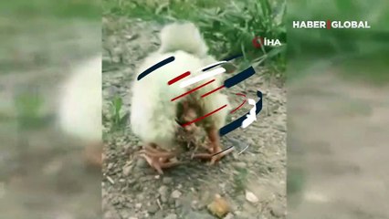 Vatandaşlar büyük şaşkınlık yaşadı! Bakan bir daha baktı