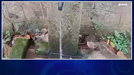 ജല്‍ജീവന്‍ മിഷൻ; എഴ് പഞ്ചായത്തുകളിൽ കുടിവെള്ള കണക്ഷൻ നൽകി