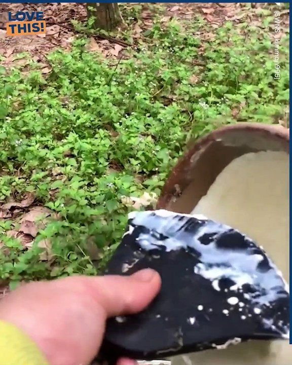 This is where latex comes from ?!?!