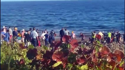 Un muerto y un herido al caer yipeta al mar en autopista Las Américas