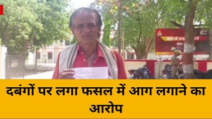 महोबा: पुरानी रंजिश के चलते गेहूं की फसल में लगाई आग, एसपी से की शिकायत