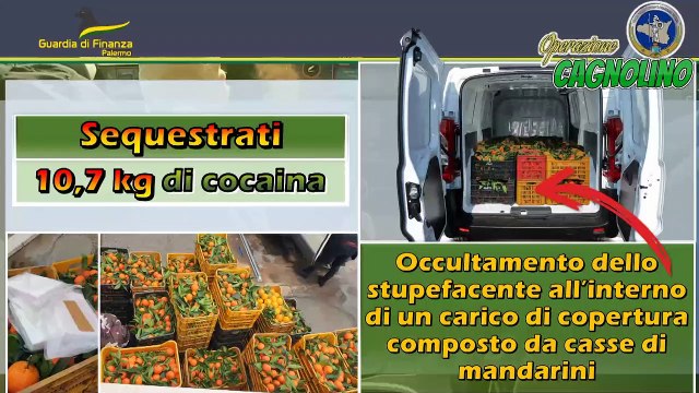 La telefonata anonima di una donna alla guardia di finanza ha dato il via all'indagine sul traffico di cocaina tra Calabria e Sicilia