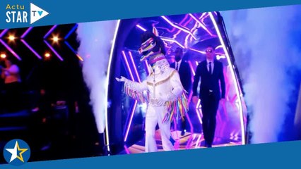 Mask Singer 5 : qui se cache sous le costume du Lama ? Découvrez tous les indices et pronostics