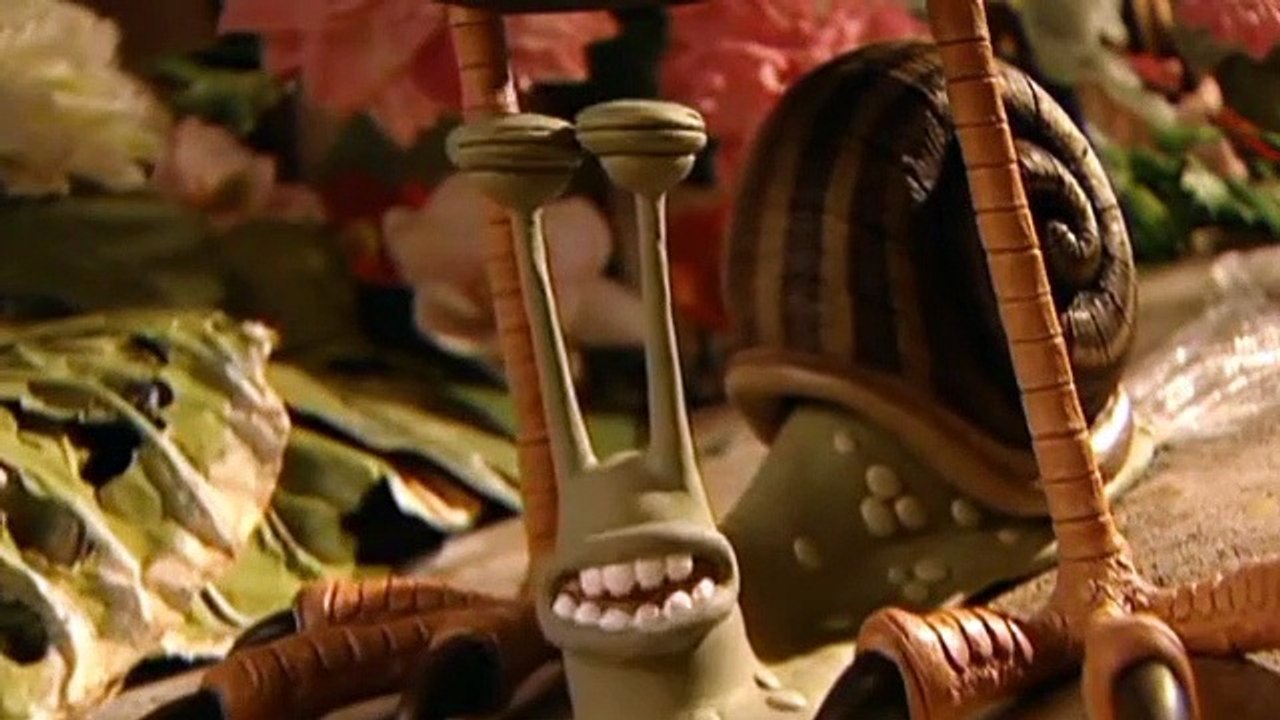 Creature Comforts Creature Comforts S01 E010 Being A Bird