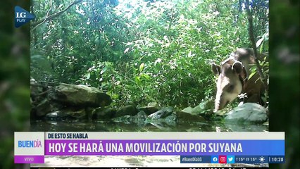 Horco Molle: Marcharán pedir justicia por Suyana, la tapir que un cazador habría matado