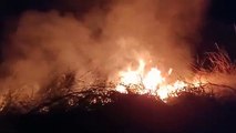 Watch Video: नहरी क्षेत्र में लगी आग, वन संपदा जलकर राख