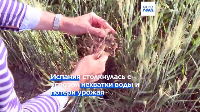 Европа: после зимней засухи - летняя