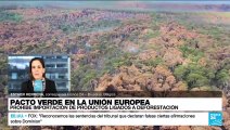 Informe desde Bruselas: UE prohíbe importación de productos ligados a deforestación