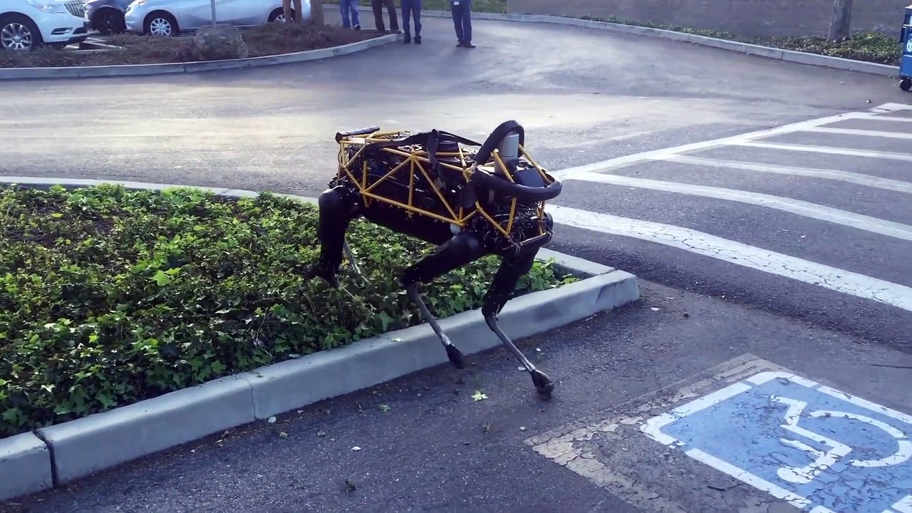 Animal vs Robot