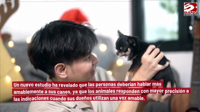 Los dueños de perros no deben dar órdenes a sus mascotas
