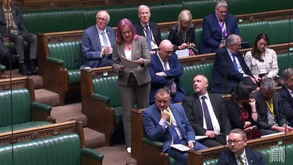 Liz Saville Roberts raising issue of Welsh water in House of Commons