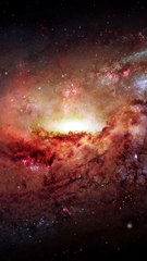 Les humains sont une erreur de l'univers?