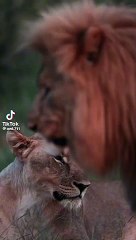 Happaness is nothing more than good health