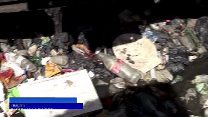 Alerta para os números da dengue em Pernambuco