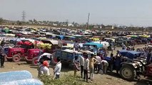 Continuous fall in the prices of gram, lentils