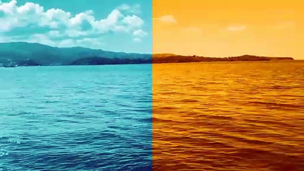 Clip sensibilisation éco-délégués Lycée de Petite-Terre Le Pêcheur (fr)
