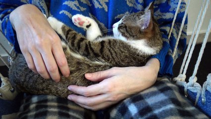 Little Rudolph Sleeps in My Arms