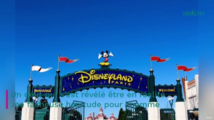 Un employé de Disneyland condamné pour avoir filmé sous les jupes de plus de 500 femmes