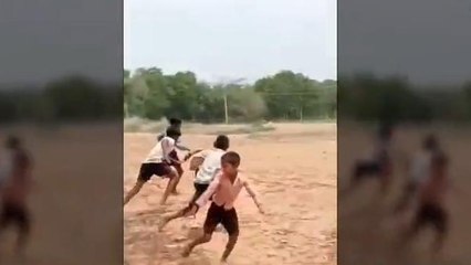 भोजपुर: लंगूर की आतंक से छोटे छोटे बच्चों में दहशत, देखें खबर