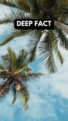 You can't forget the person you loved... #shortsfeed #psychologyfacts #deepfact #beactivewithbhatti