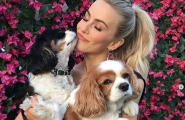 Los dueños deberían evitar dar órdenes a sus perros