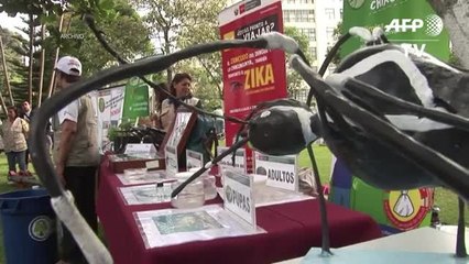 Autoridades descartan postergar los Juegos Olímpicos Rio-2016 por zika