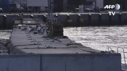 Video: la preocupación de los pescadores de Fukushima