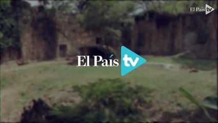 Video: vea cómo se refresca el oso pardo en el Zoológico de Cali