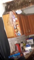 Historic Flooding in Florida Forces Family to Leave Home