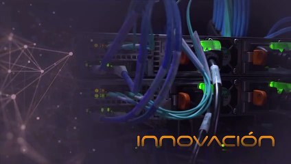 Sinapsis T2 Ep 30 | ¿En dónde podemos encontrar a los anfibios?